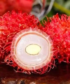 Rambutan-6kg